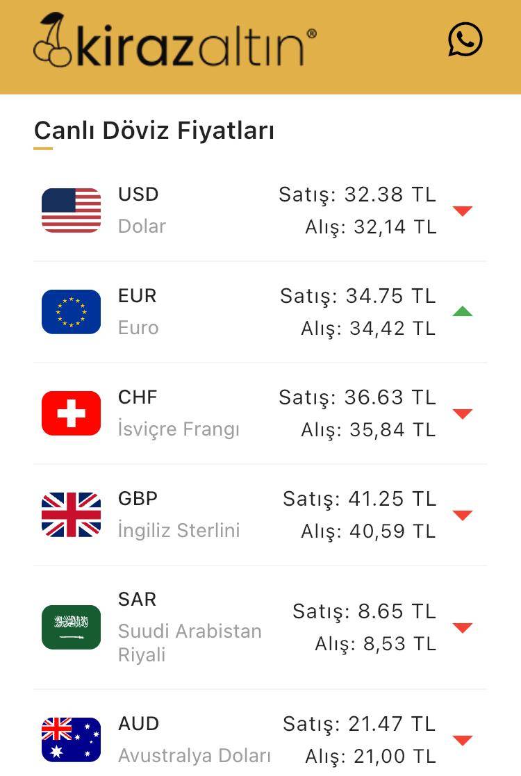 Konya’da altın fiyatları ve güncel döviz kurları I 20 Haziran 2024 8